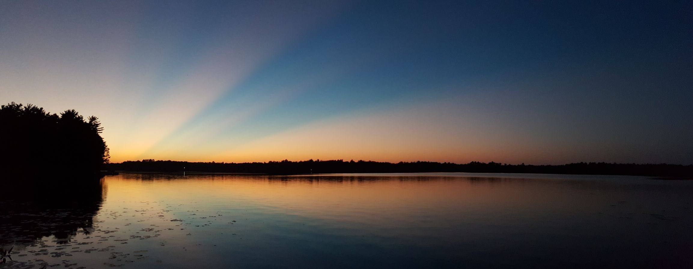 Rooney Sunset 2016